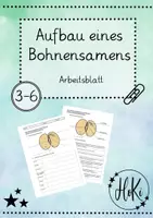Vorschau - Arbeitsblätter - Aufbau eines Bohnensamens (HoKi) - Deckblatt