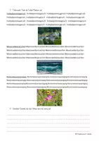Vorschau - Arbeitsblätter - 5 Arbeitsblätter LRS (Lese-Rechtschreibschwierigkeiten) - Thema: "Sommer" - ca.1-2 Stunden - Klasse 5-7 - Seite 2