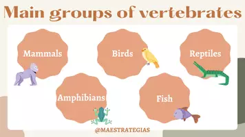 Vista previa - Unidades / Secuencias / Situaciones de Aprendizaje - Llavero vertebrates maestrategias - página 2