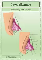 Vorschau - selbst erstellte Cliparts/Grafiken - Abbildung der Klitoris / Vulva für den Sexualkundeunterricht - Deckblatt
