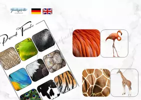 Vorschau - Stationenlernen - Tiermatch, Passende Tiersuche, Animal Matching - Deckblatt