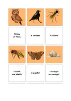 Vorschau - Spiele - Bild-Wort Karte Animaux de la forêt Französisch - Seite 3
