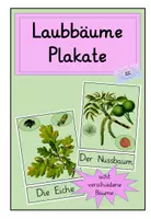 Vorschau - Poster - Plakate : Laubbäume , Blätter , Früchte - Deckblatt