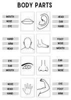 Aperçu - Feuilles d'exercices - Exercices et jeux Body parts / parties du corps en anglais - Page 3