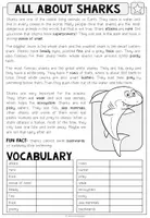Vista previa - Hojas de trabajo - ALL ABOUT SHARKS - Reading Comprehension (2-times differentiated + Conversation Strips) - página 2
