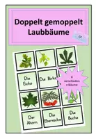 Vorschau - Spiele - Doppelt gemoppelt : Laubbäume - Deckblatt