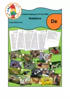 Vorschau - Arbeitsblätter - Lesespaziergang durch den Wald 5-fach differenziert - Deckblatt