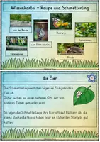 Vorschau - Präsentationen/Tafelbilder - Wissenskartei - Raupen und Schmetterlinge - Deckblatt