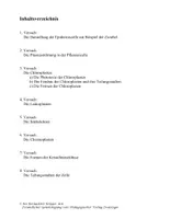 Vorschau - Experimente - Die Zelle - Heftreihe „Biologie in Experimenten“ - Seite 2