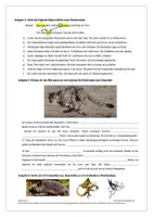 Vorschau - Arbeitsblätter - Arbeitsblätter zum Relativsatz (P.A.U.L D 7) - Seite 2