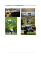 Vorschau - Unterrichtsreihen - 5 x A1: Kleidung, Aussehen, Sport, Biografie, Freizeit (200 Seiten) - Seite 2