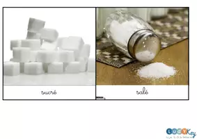 Aperçu - Jeux - Jeu de tri sucré salé – 32 cartes aliments - Page 1