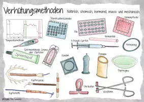 Vorschau - Poster - Plakat - Informationsplakat - Infografik: Verhütungsmethoden - Seite 3