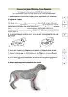 Vorschau - Merkblätter - Klassenarbeit Säugetiere inklusive Lernhilfe - Seite 1