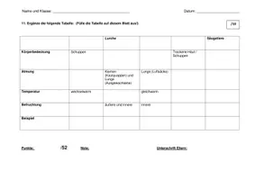 Vorschau - Merkblätter - Klassenarbeit Säugetiere inklusive Lernhilfe - Seite 3
