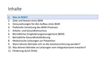 Vorschau - Präsentationen/Tafelbilder - BGM - Betriebliches Gesundheitsmanagement (PowerPoint) + Zusatzmaterial - Seite 2