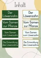 Vorschau - Stationenlernen - Tafelbild: Die Entwicklung des Löwenzahns/ Vom Samen zur Pflanze - Seite 1
