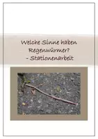 Vorschau - Arbeitsblätter - Welche Sinne haben Regenwürmer? - Eine Stationenarbeit - Deckblatt