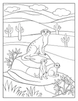 Vorschau - Arbeitsblätter - Malbuch für Kinder: Erdmännchen - Seite 3