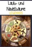 Vorschau - Bildkarten - Legekreis Laub- und Nadelbäume - Deckblatt