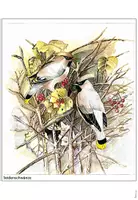 Vorschau - Arbeitsblätter - Opa Rainers Zeichnungen - Vögel (Schreibanlässe) - Seite 3
