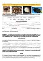 Vorschau - Arbeitsblätter - Übungsaufgaben zur Tierbeschreibung: Rechtschreibung und Sprachstil - Deckblatt