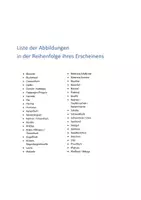Vorschau - Fördermaterial/Inklusion - DaZ Wortschatz Sommer - Reine Bildkarten (DIN A4) mit Artikelpunkten - Vorkurs Deutsch Sommer - Vorkurs Deutsch Kindergarten - Seite 2