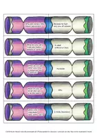 Vorschau - Spiele - Christmas Cracker Jokes Matching Cards - Seite 1