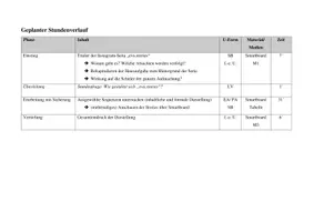 Vorschau - Stundenentwürfe - Erinnerungskultur Holocaust am Beispiel des Instagram-Projekts eva.stories - Seite 1