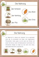 Vorschau - Merkblätter - Wissenskartei Regenwurm (Kl.2/3) - Seite 3