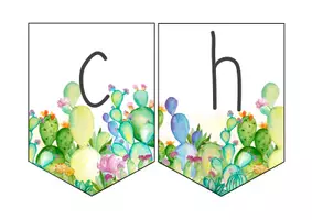 Vorschau - Anderer Materialtyp - Wimpel "Sachunterricht" Motiv: Kaktus - Seite 2