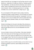Vorschau - Arbeitsblätter - Lesespurgeschichte "Chaos am See" Level 3 DaZ / Deutsch - Seite 2
