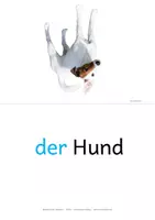 Vorschau - Fördermaterial/Inklusion - Haustiere - Heimtiere - Bildkarten - Fotokarten & Wortkarten - DIN A5 - Bild- Wortkarten - Zuordnungskarten - Seite 2