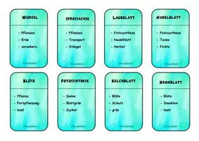 Vorschau - Spiele - Spiel "Sag nicht..." zum Thema Pflanzen - Seite 2
