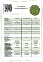 Vorschau - Arbeitsblätter - Chloroplasten (videogestützt) - Seite 2