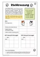 Vorschau - Arbeitsblätter - Genetik - Rückkreuzung (Arbeitsblatt) - Seite 2