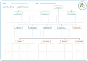 Vorschau - Spiele - Wirbellose Tiere Systematik – Arbeitsblatt - Seite 1