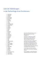 Vorschau - Spiele - Gemüse - Bildkarten - Fotokarten & Wortkarten - DIN A5 - Bild- Wortkarten - Zuordnungskarten - Seite 2