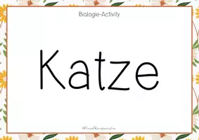 Vorschau - Spiele - Biologie - Pantomime // Begriffe Biologie raten - Seite 1