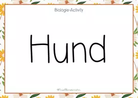 Vorschau - Spiele - Biologie - Pantomime // Begriffe Biologie raten - Seite 2