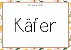 Vorschau - Spiele - Biologie - Pantomime // Begriffe Biologie raten - Seite 3