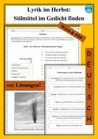 Vorschau - Arbeitsblätter - Lyrik im Herbst: Stilmittel im Gedicht finden - als PDF & Word - Deckblatt