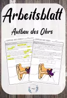 Vorschau - Arbeitsblätter - Arbeitsblatt: Aufbau des Ohrs (differenziert) - Deckblatt