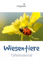 Vorschau - Poster - Wiesentiere Tafelmaterial - Wiese Klasse 1- Wiese Klasse 2 - Bildkarten - Fotokarten & Wortkarten - Poster - Plakate - Deckblatt