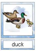 Vorschau - Stundenentwürfe - on the farm / farm animals - differenzierte Arbeitsblätter + Flashcards / Bildkarten - Seite 2