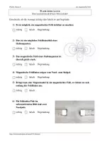 Vorschau - Arbeitsblätter - Lernerfolgskontrolle: Feldlinien, Magnetismus - Seite 1