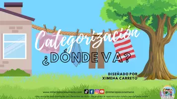 Vista previa - Presentaciones - Categorización ¿Dónde va? - Portada