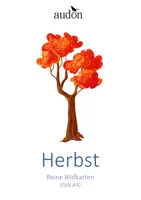 Vorschau - Poster - DaZ Wortschatz Herbst - Herbstwörter - DaZ - Reine Bildkarten zur Sprachförderung (DIN A4) - Kindergarten Vorschule Kita - Deckblatt