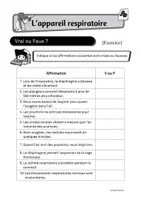 Aperçu - Feuilles d'exercices - Le corps humain: l'appareil respiratoire - Page 2