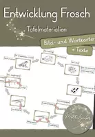 Vorschau - Präsentationen/Tafelbilder - Entwicklung des Frosches - Tafelmaterial (Bild- und Wortkarten) - Deckblatt